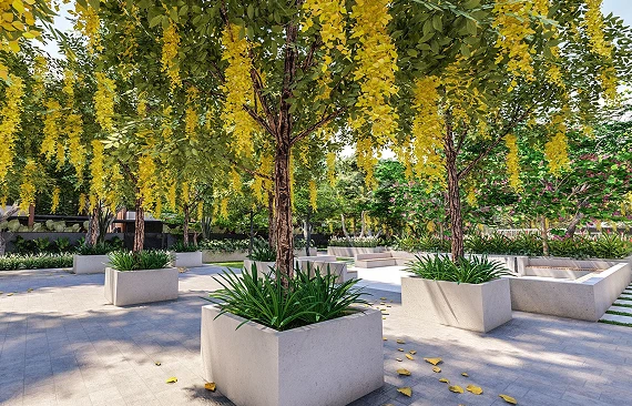 Café deck seating among planters
